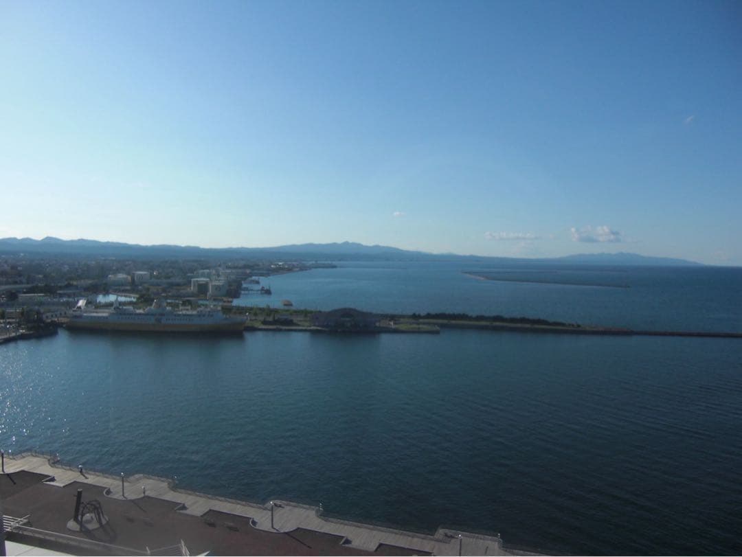 【完動品】CASIO EXILIM EX-Z600 デジタルカメラ 動作確認済み