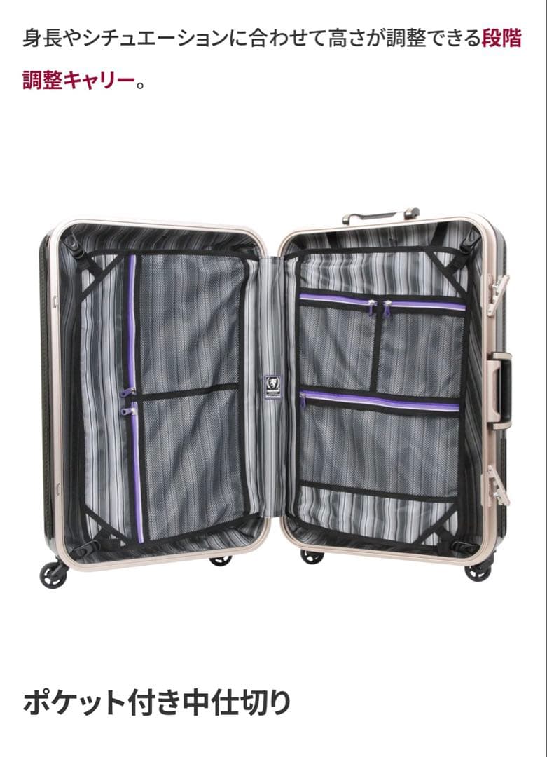 レジェンドウォーカー ラフカーボンホワイトゴールド キャリーケース90ℓ