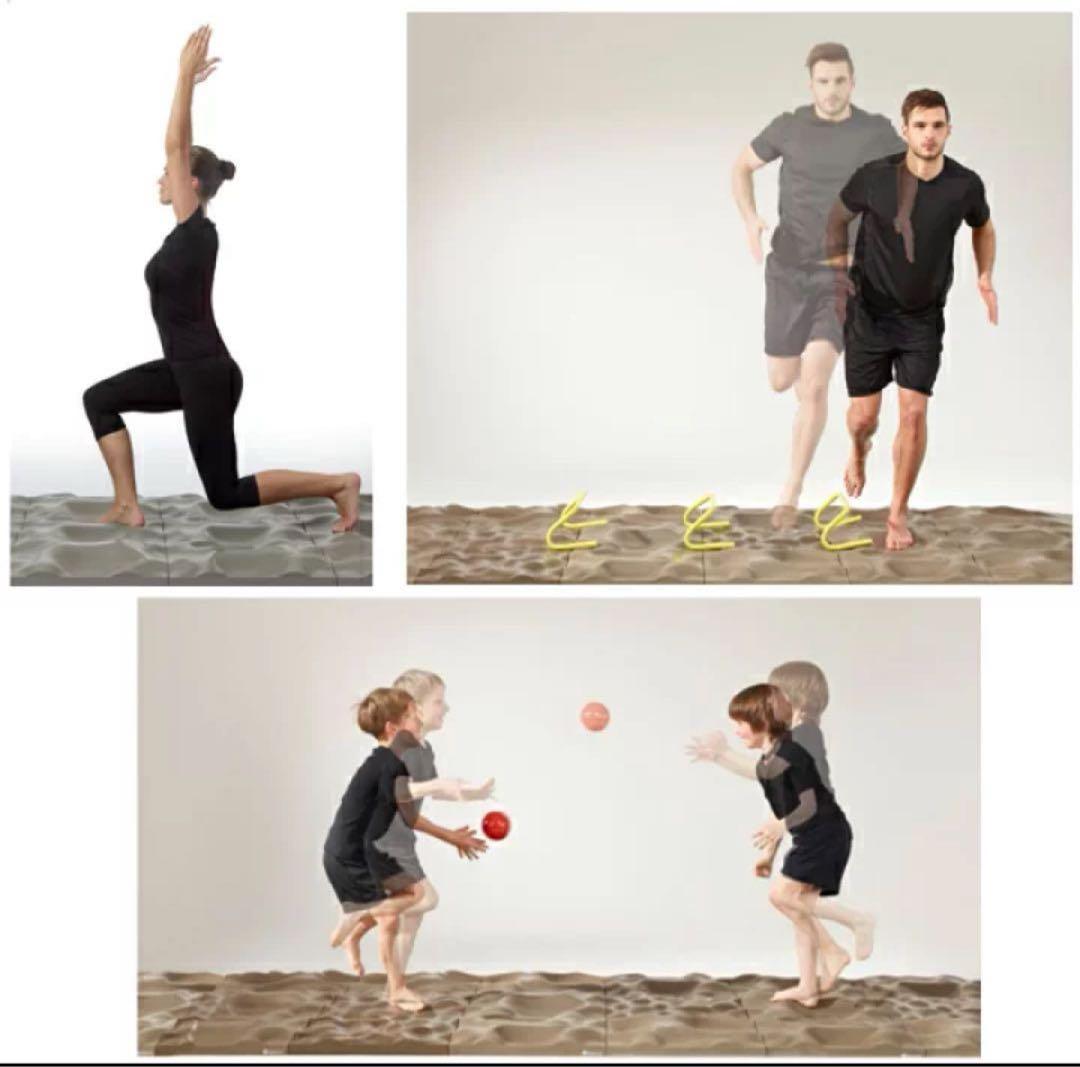 【美品 6枚セット】テラセンサ コアバランス posse ドイツ製 正規品