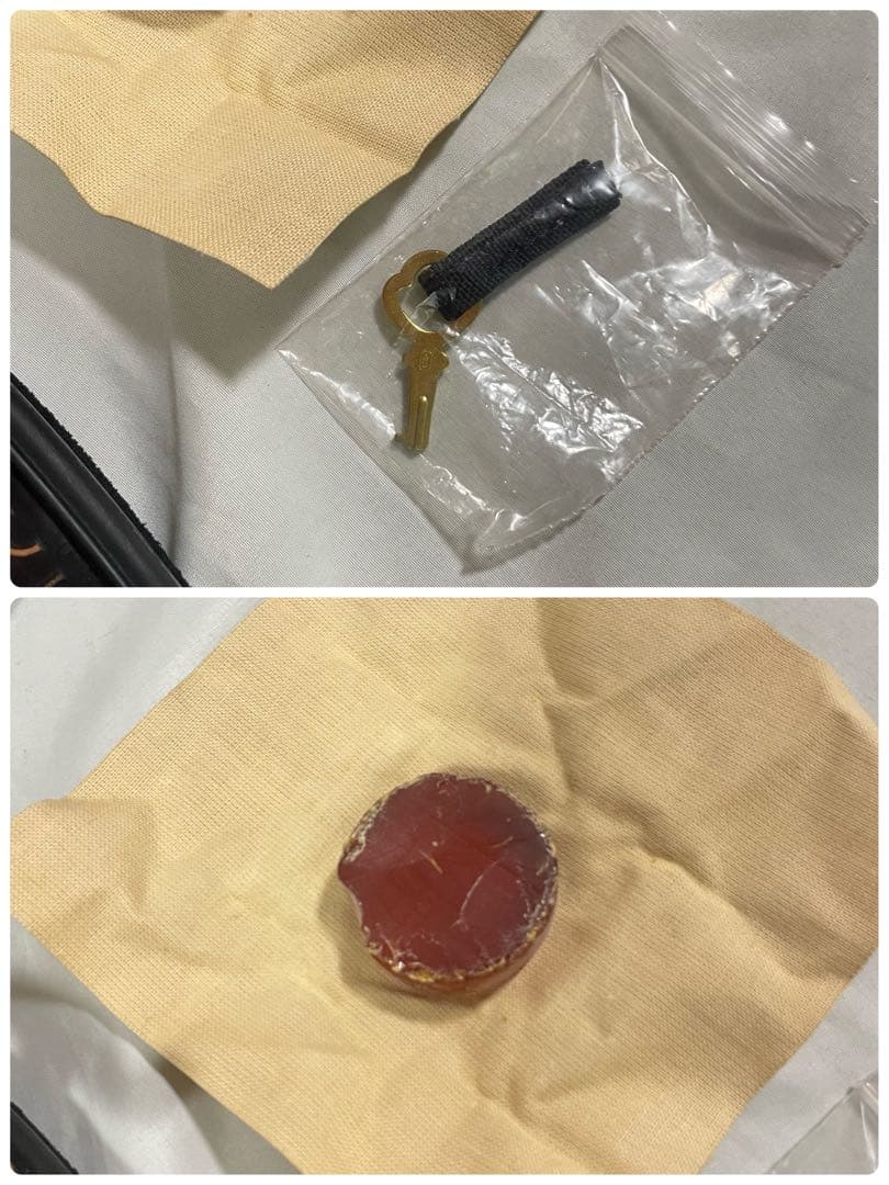 Pietro Lombardi ヴィオラ ケース付き