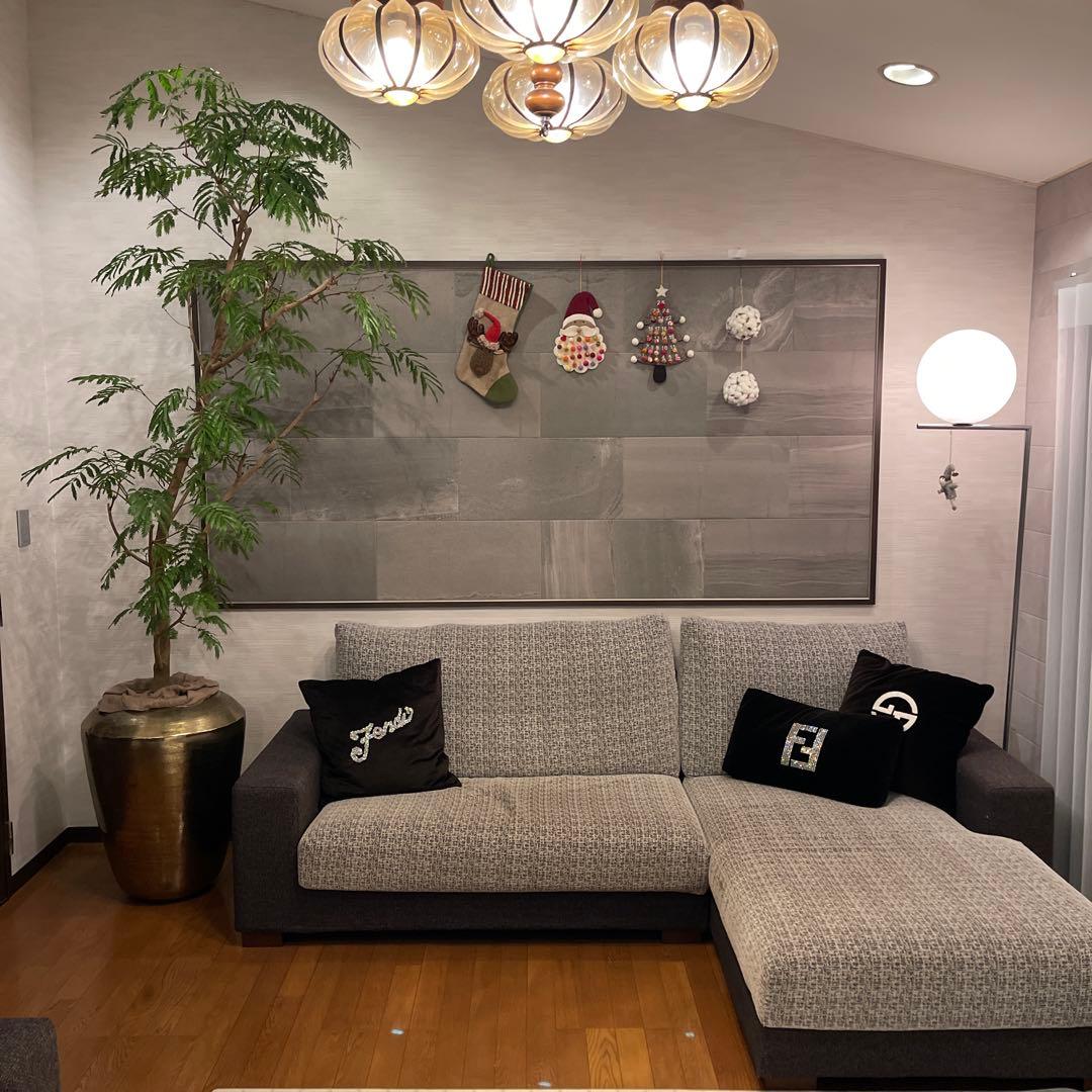 エバーフレッシュ　特大サイズ　幹太　観葉植物　カッシーナ　アクタス 人気》エバーフレッシュ ネムノキ 幹太 XLサイズ 観葉植物 calm cafe