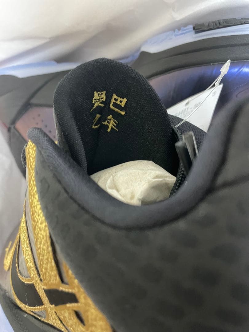 【26cm】Nike Kobe V Protro 5 eggplant