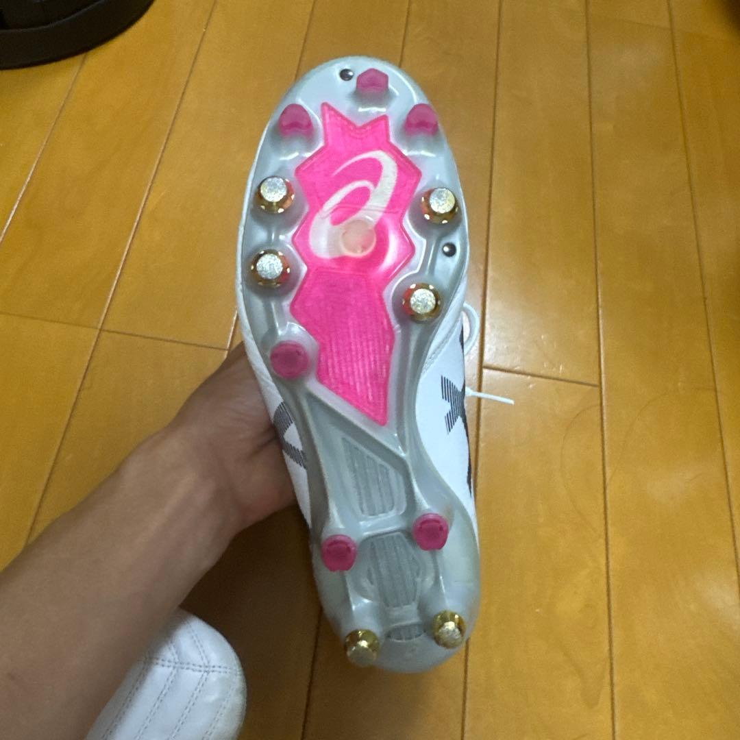 取替式ASICS DS LIGHT X-Fly PRO 25.0cm