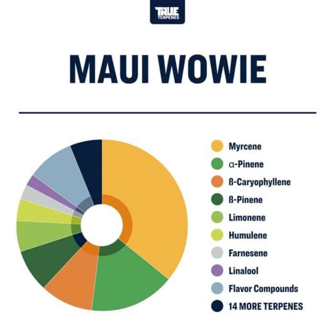 【10ml】Maui Wowie／TrueTerpenesテルペン　香料　CBD