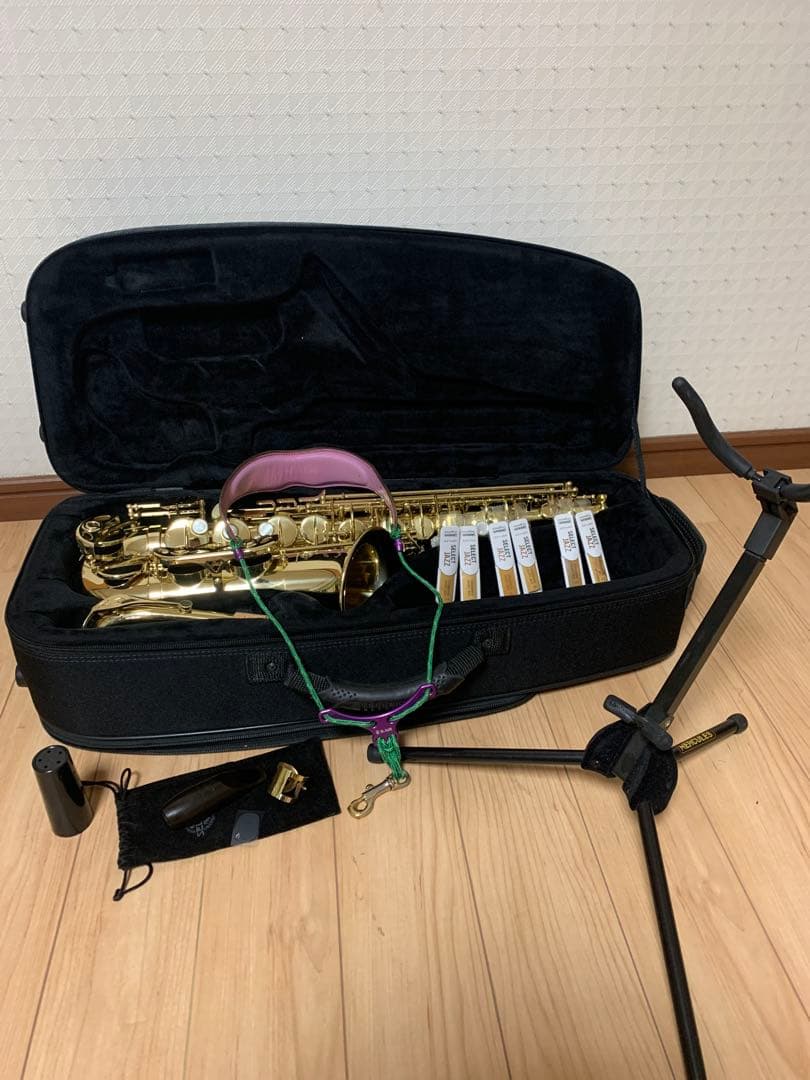 SELMER Axos : アルトサックス セルマー　アクソス