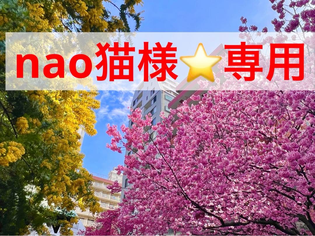 ラジャス⭐️ゴールドリング＆ピンクゴールドゲルマニウム セット❣️新リンパ療法⭐️