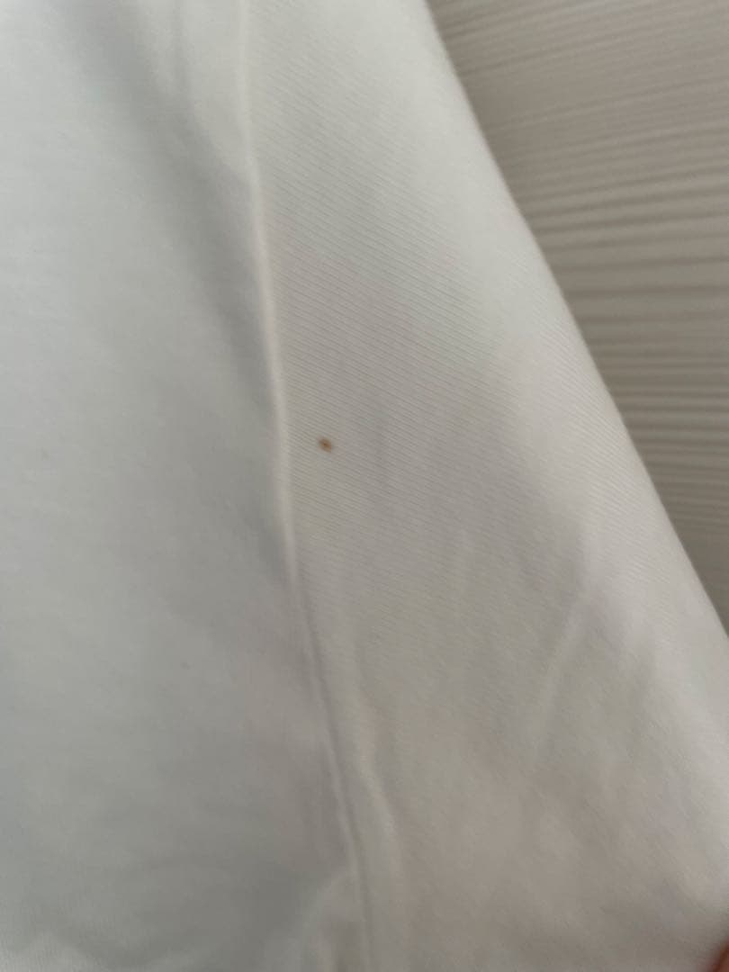 ステューシーマスターマインドコラボtravisシャツサイズL