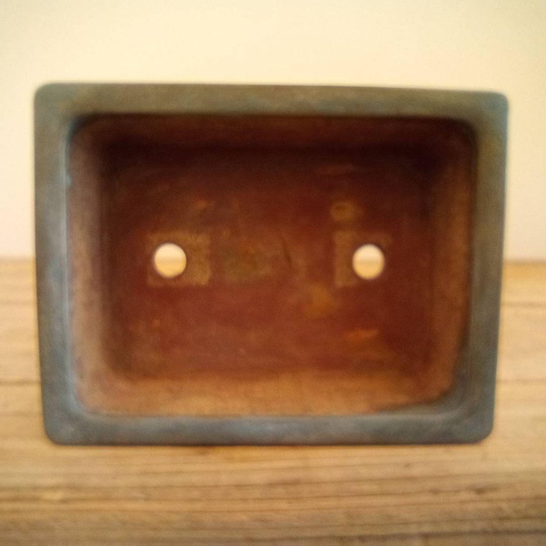 盆栽　平安香山鉢　鉢寸法11.3×3.8×4.3