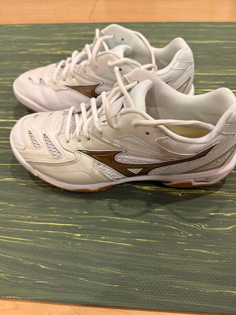 ミズノ ウエーブファングPro 26.5cm