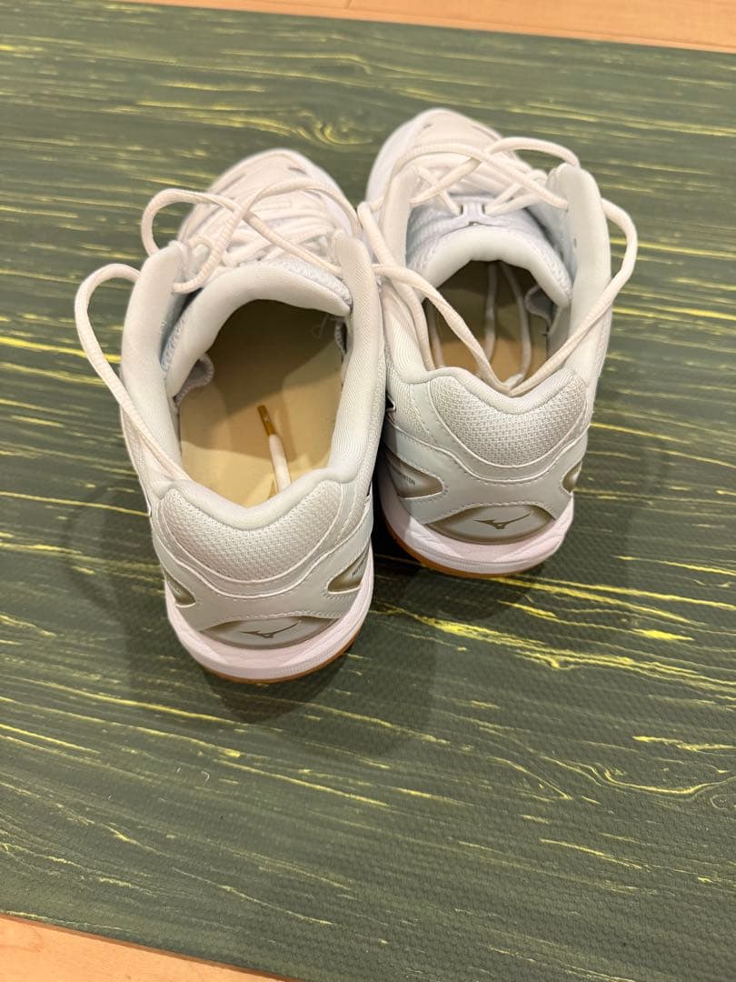 ミズノ ウエーブファングPro 26.5cm