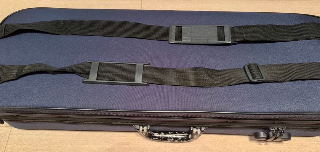 Gliga GEMS 4/4 バイオリンセット