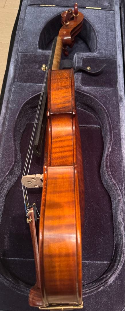 Gliga GEMS 4/4 バイオリンセット