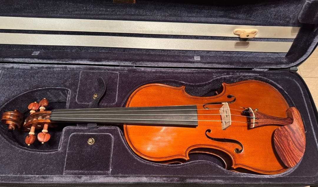 Gliga GEMS 4/4 バイオリンセット