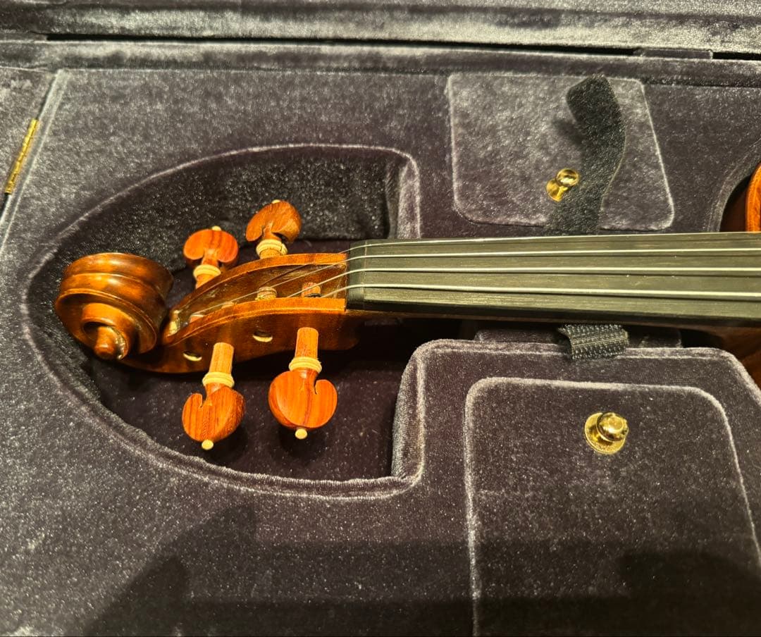 Gliga GEMS 4/4 バイオリンセット