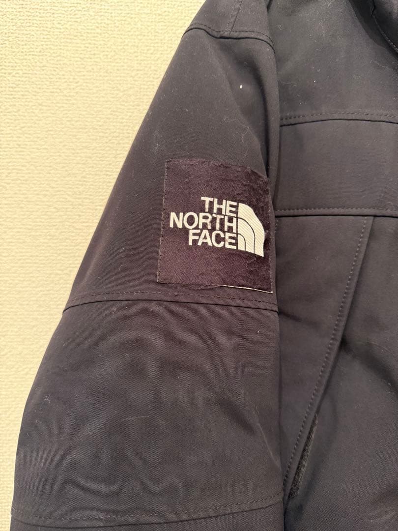 限界値下げ♪THE NORTH FACE ANTARCTICA ダウンジャケット