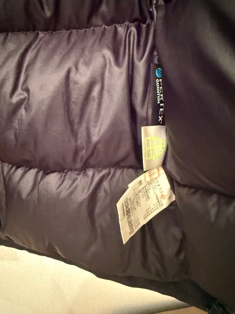 限界値下げ♪THE NORTH FACE ANTARCTICA ダウンジャケット