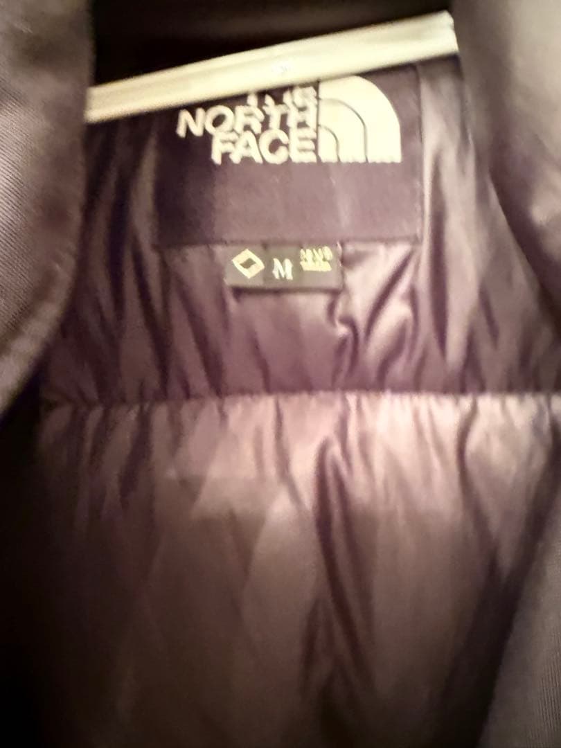 限界値下げ♪THE NORTH FACE ANTARCTICA ダウンジャケット