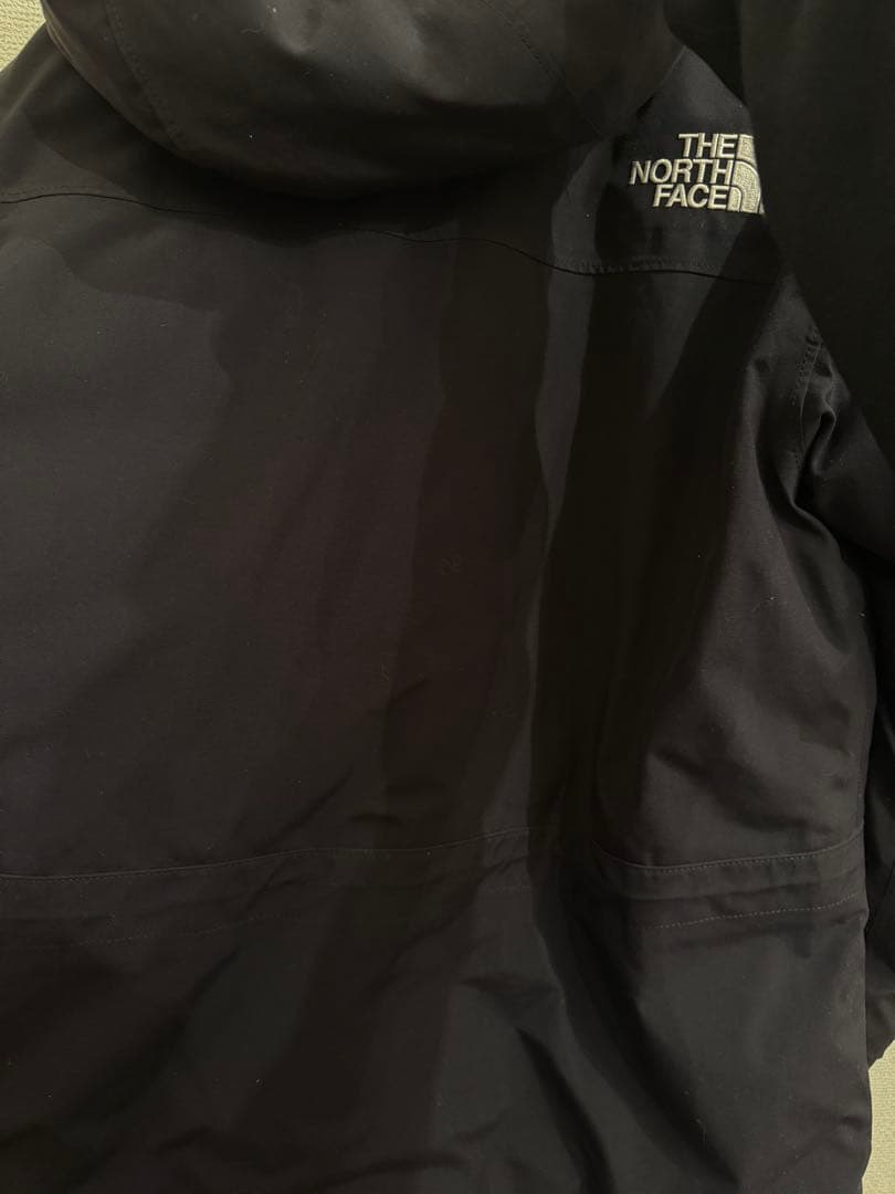 限界値下げ♪THE NORTH FACE ANTARCTICA ダウンジャケット