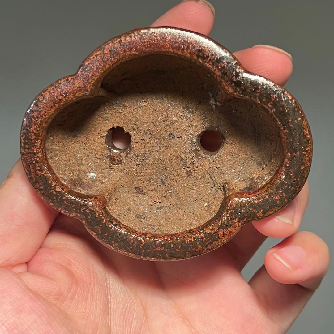 801.夢陶 赤鉄釉雲足木瓜 盆栽鉢 植木鉢 7.8*6.3*