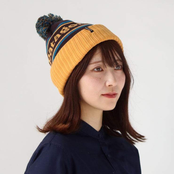 チクチクしない❣️人気柄PKMA・新品‼️パタゴニア パウダー・タウン・ビーニー