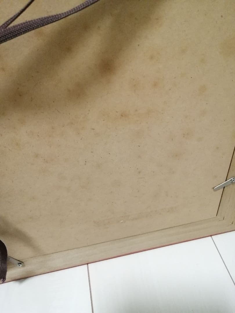 Karen Hoepting カレンホイプティング　キリンの歌123