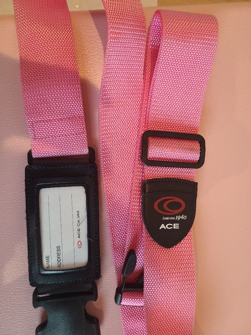 スーツケース　ACE HaNT　大容量87L