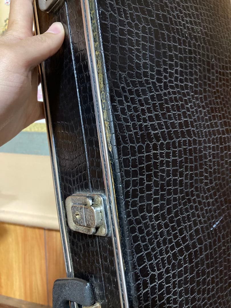 ち*ろ様 三線 本体 蛇皮 黒と金　人口革　ケース　鍵付き