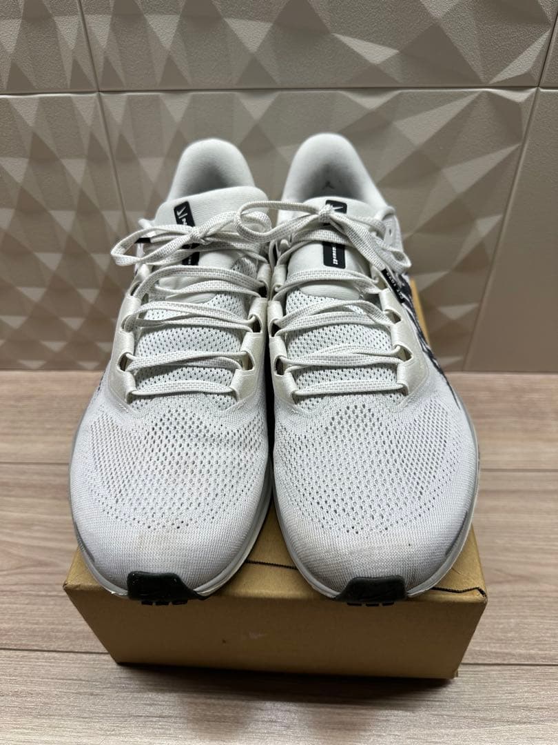 ナイキ　ペガサス41 限定カラー　27.5cm