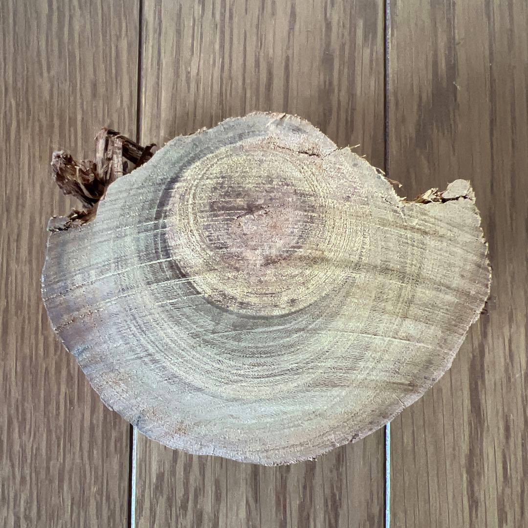 香木 白檀 約198g 鑑定済 お香 リラクゼーション