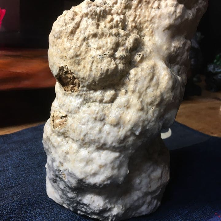 o(^▽^)o遥か昔、6000年(縄文時代)物の石筍(鍾乳石)の