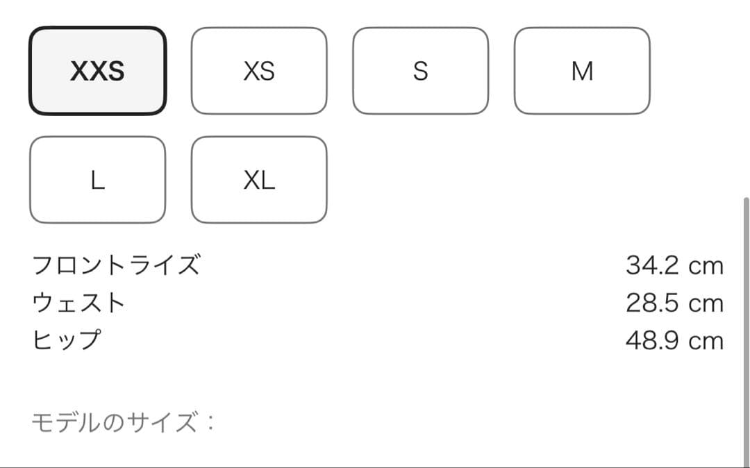 alexander wang スウェット