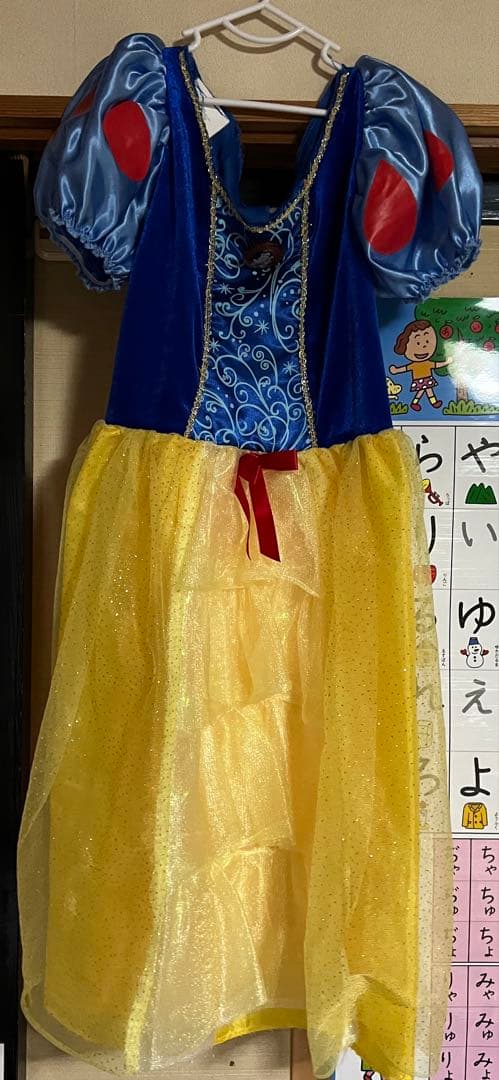 ディズニー プリンセス ドレス 10着セット　100-110cm