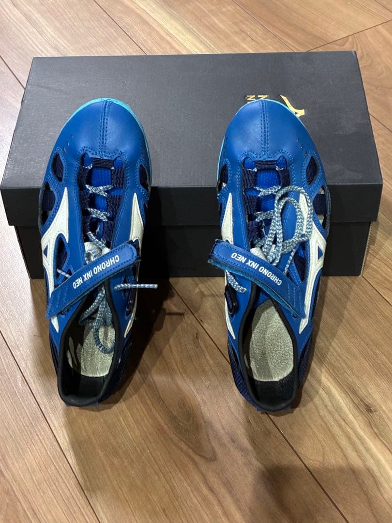 クロノインクスネオジャパン23.0㌢