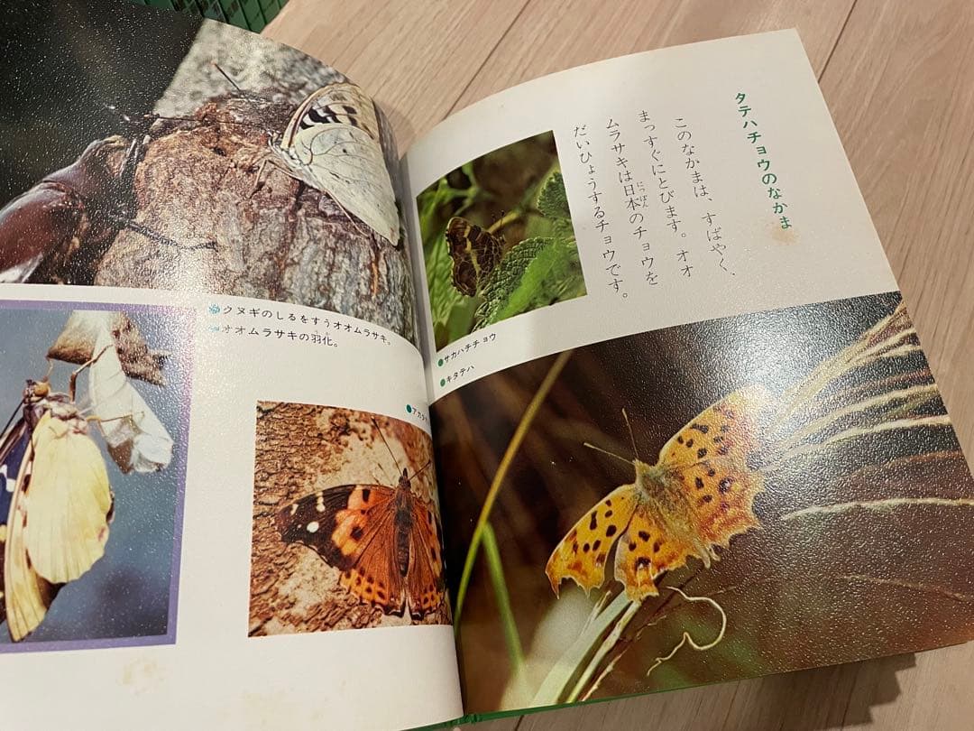 科学のアルバム　あかね書房　シリーズ　全91冊　セット販売