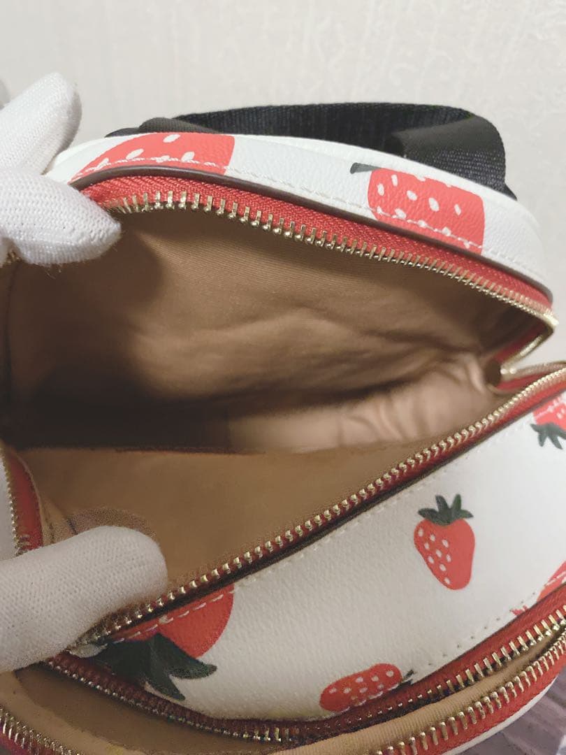 〔新品未使用〕COACH ミニリュック　ストロベリー