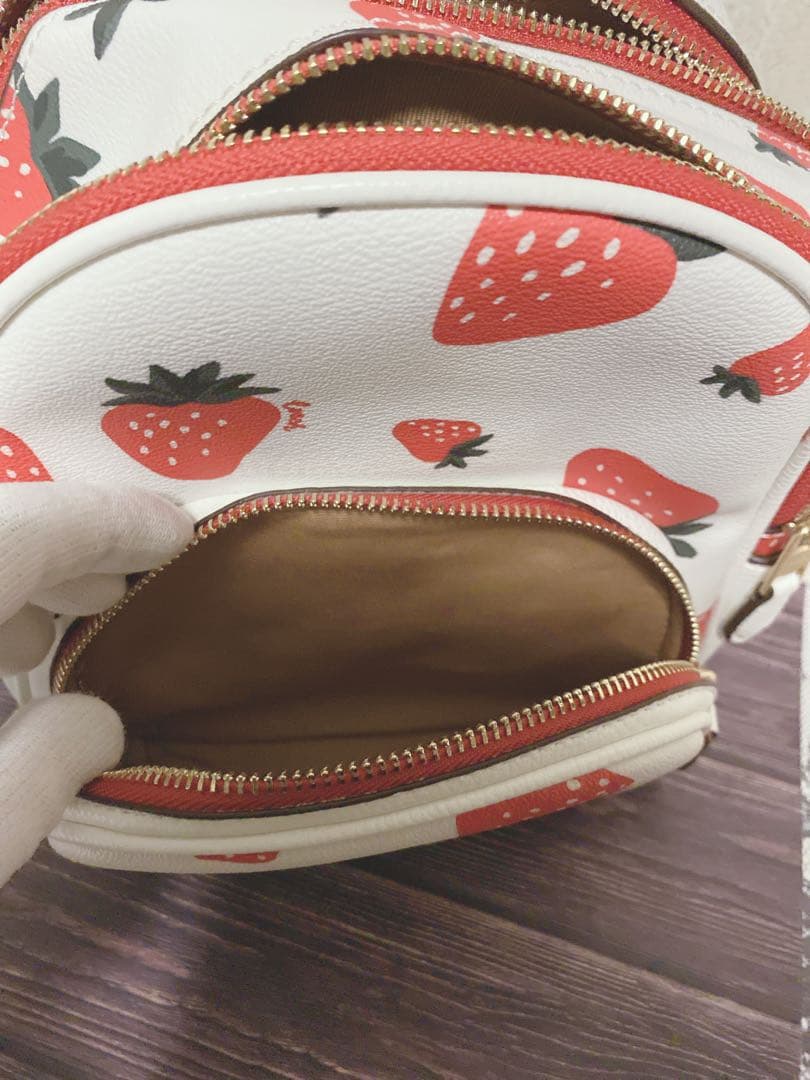 〔新品未使用〕COACH ミニリュック　ストロベリー