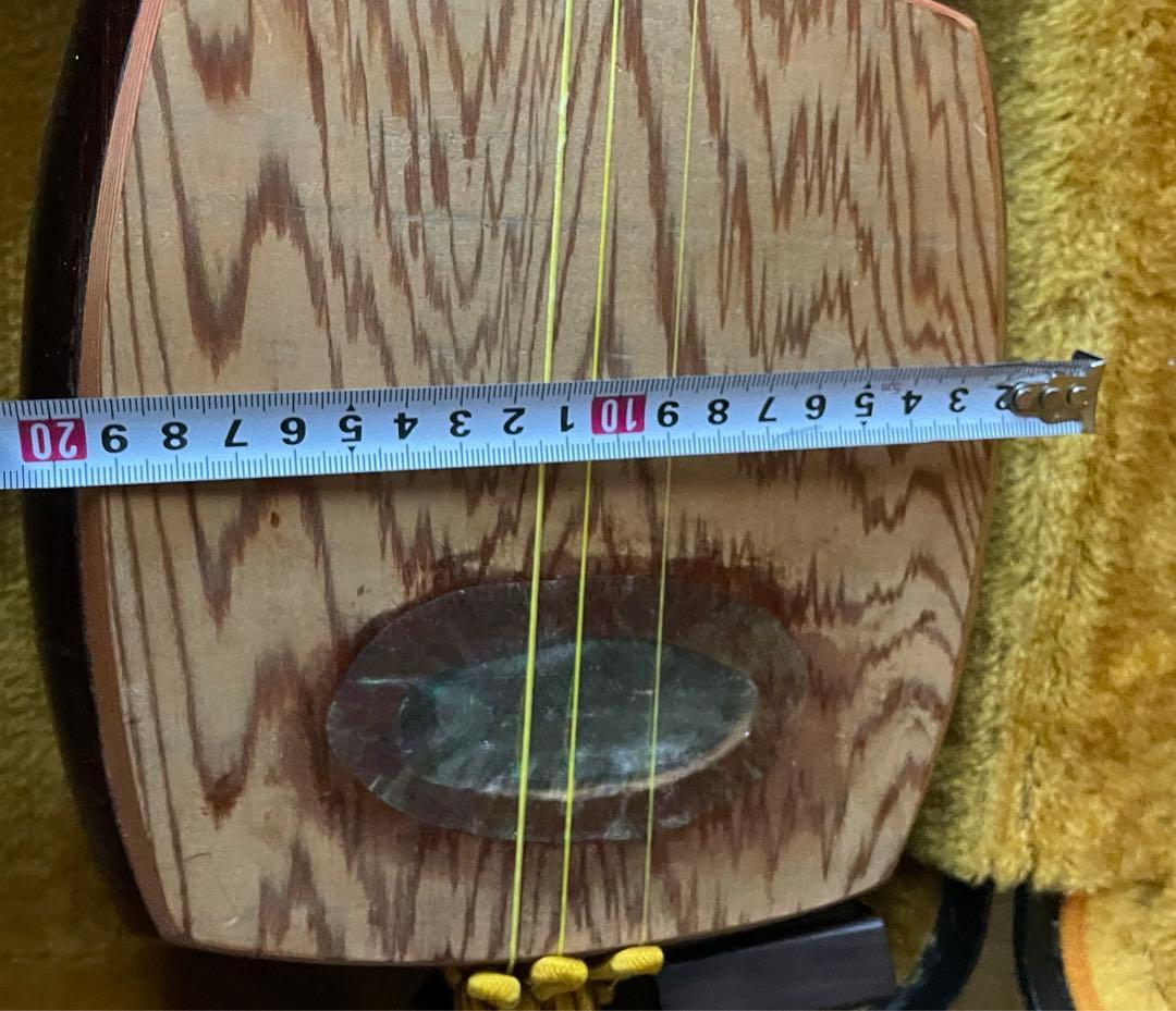 レア楽器 「サバミセン」 エレクトリック対応、撥・ハードケース付き