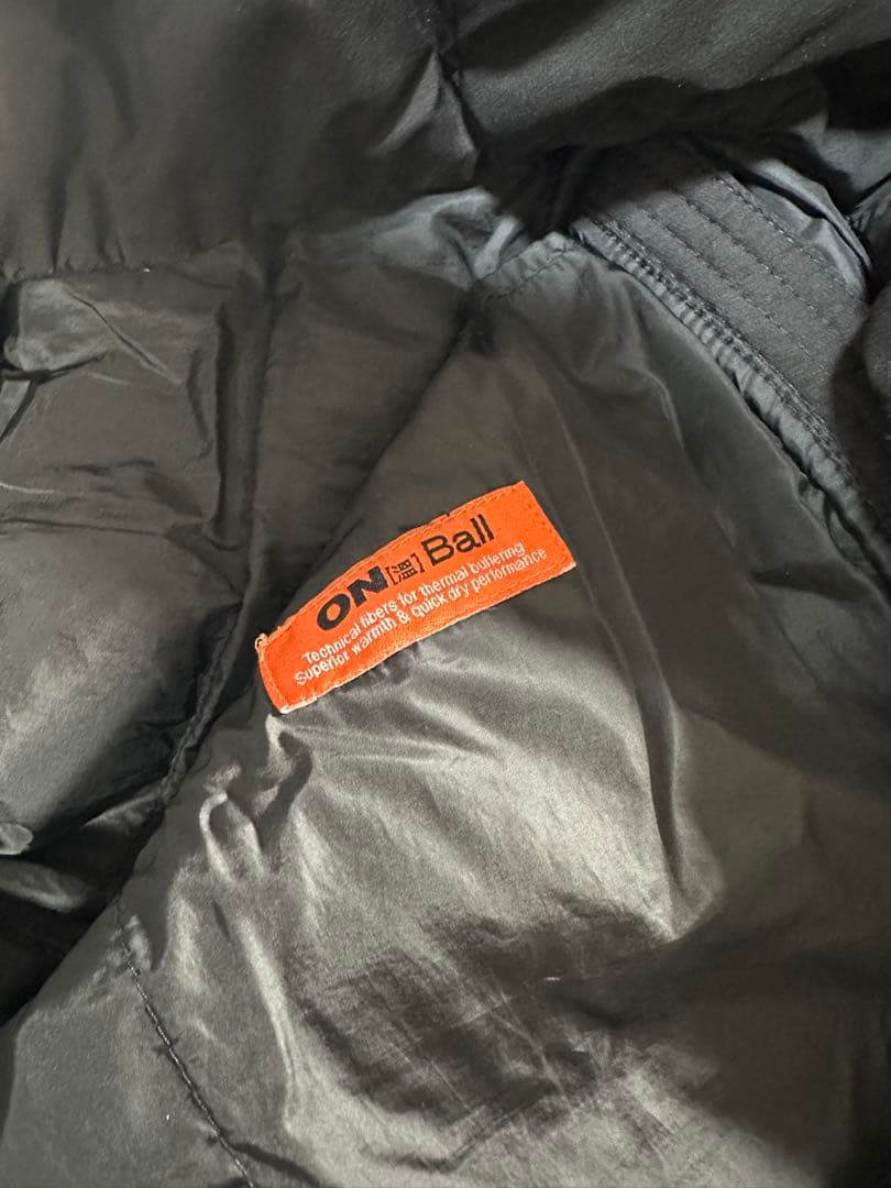 海外限定　THE NORTH FACE LEWES ON BALL JACKET