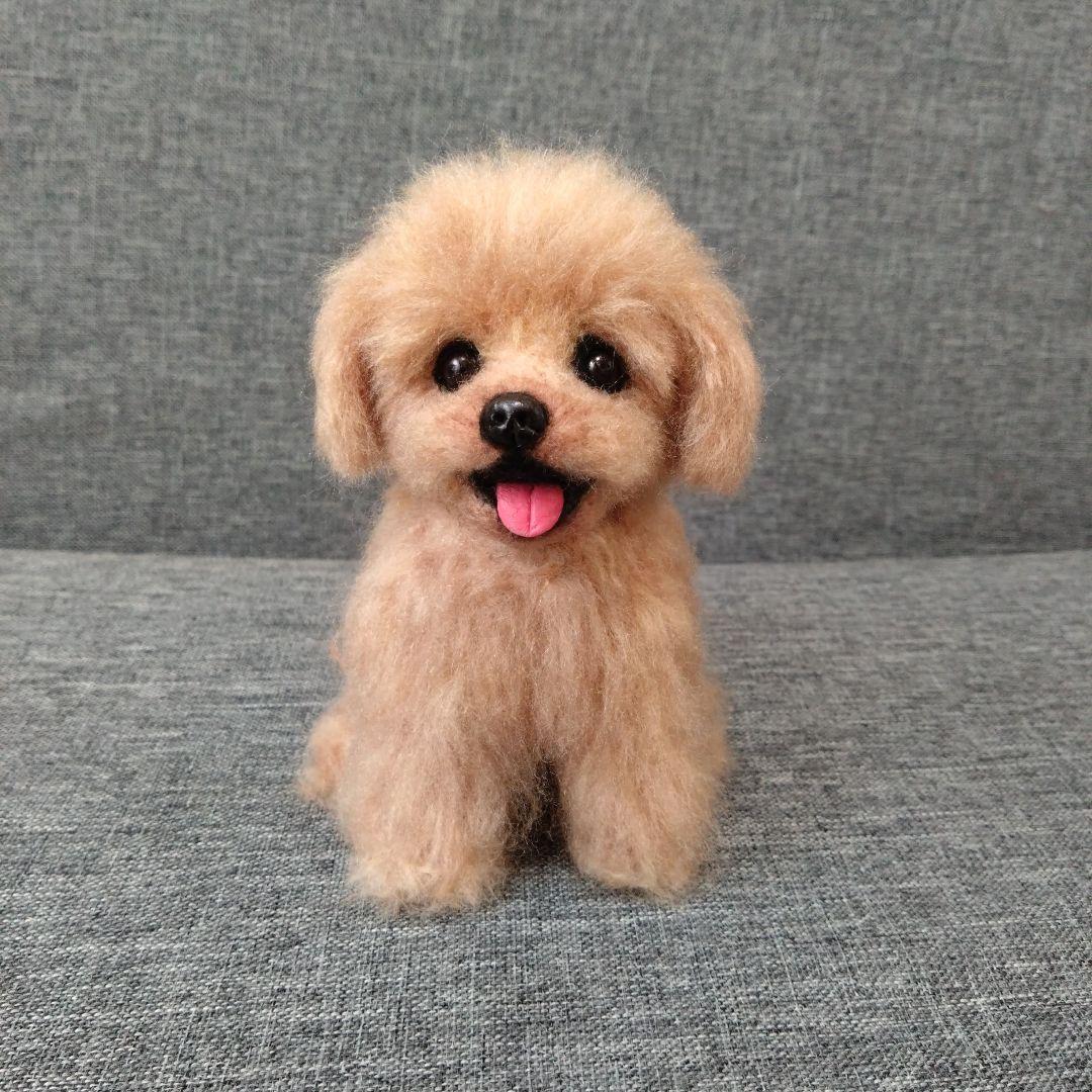 jill様専用 羊毛フェルトトイプードル×マルチーズ マルプー 犬