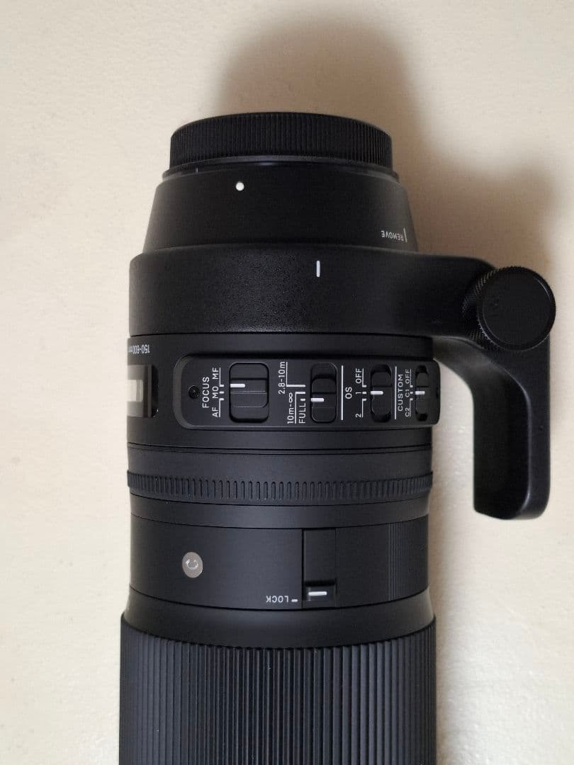 【福ちゃん】SIGMA 150-600mm