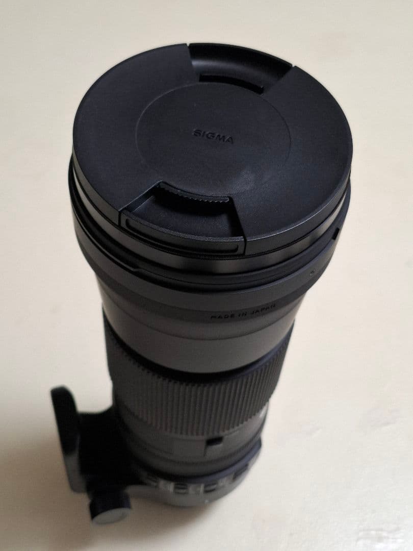 【福ちゃん】SIGMA 150-600mm