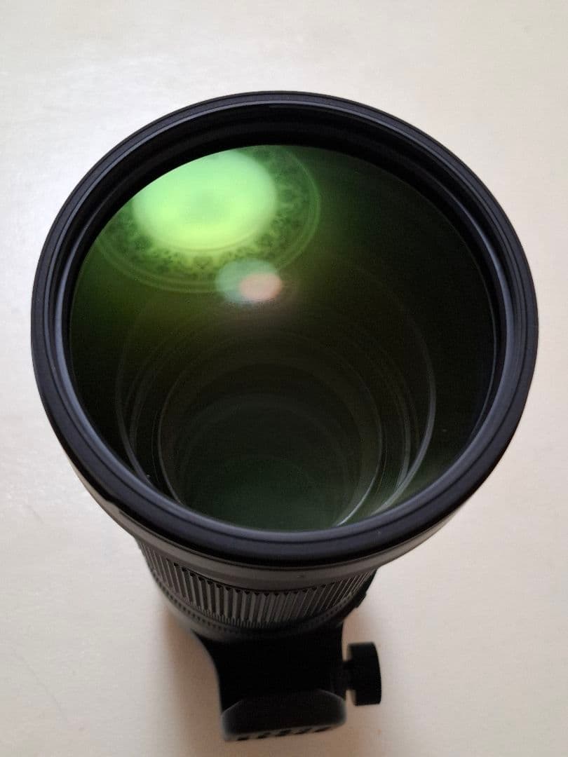 【福ちゃん】SIGMA 150-600mm