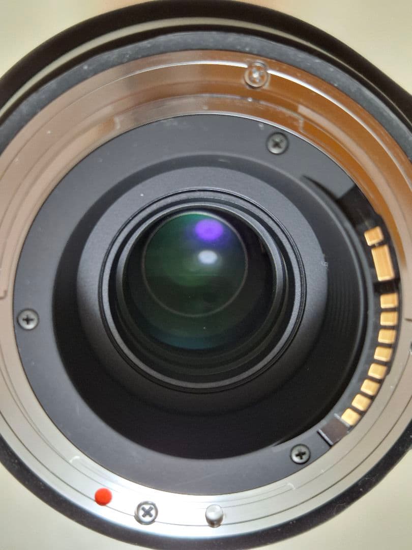 【福ちゃん】SIGMA 150-600mm