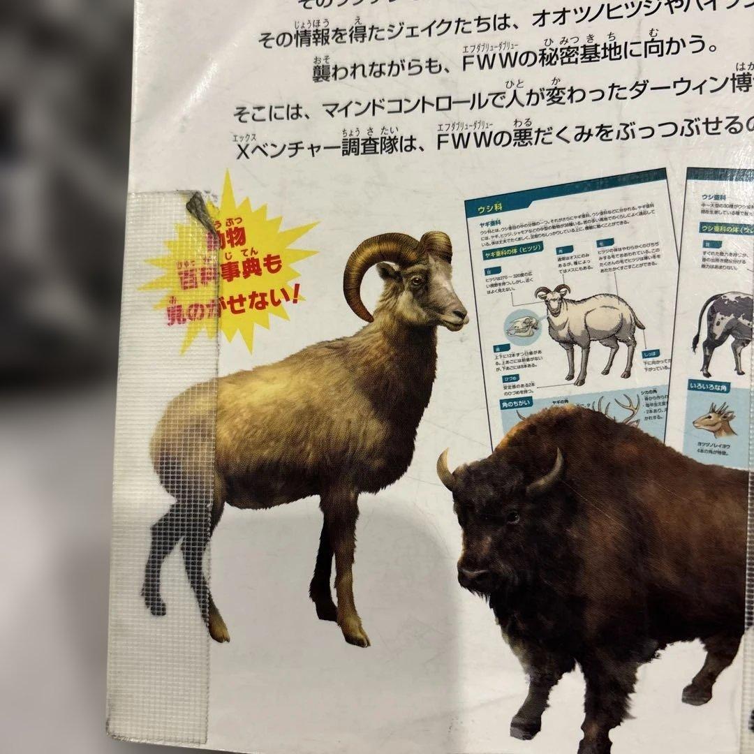 どっちが強いA1ー36/からだレスキュー他62冊