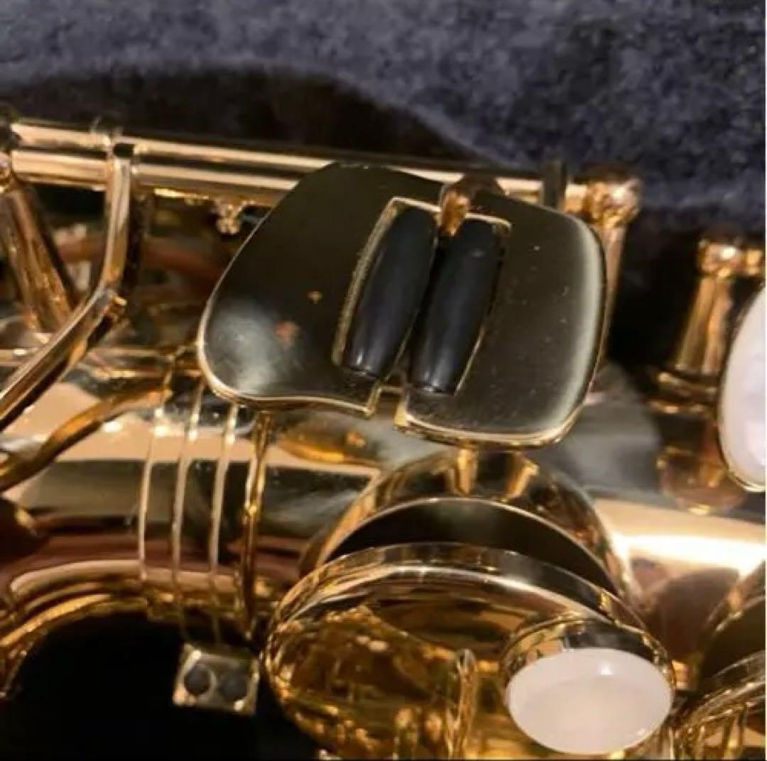 （選定品）Antigua GL アルトサックス アンティグア