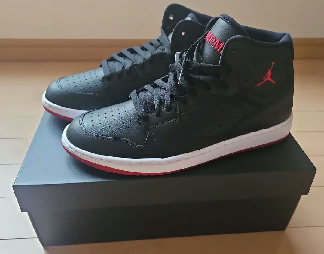 Air Jordan ブラック/レッド ハイカットシューズ