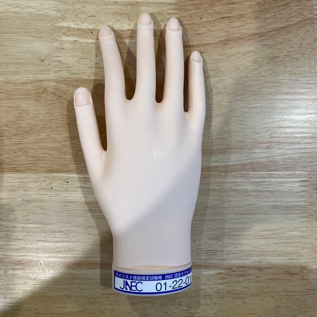 【MOF】JNEC認定 モデルハンド ネイルシート•チップ付き