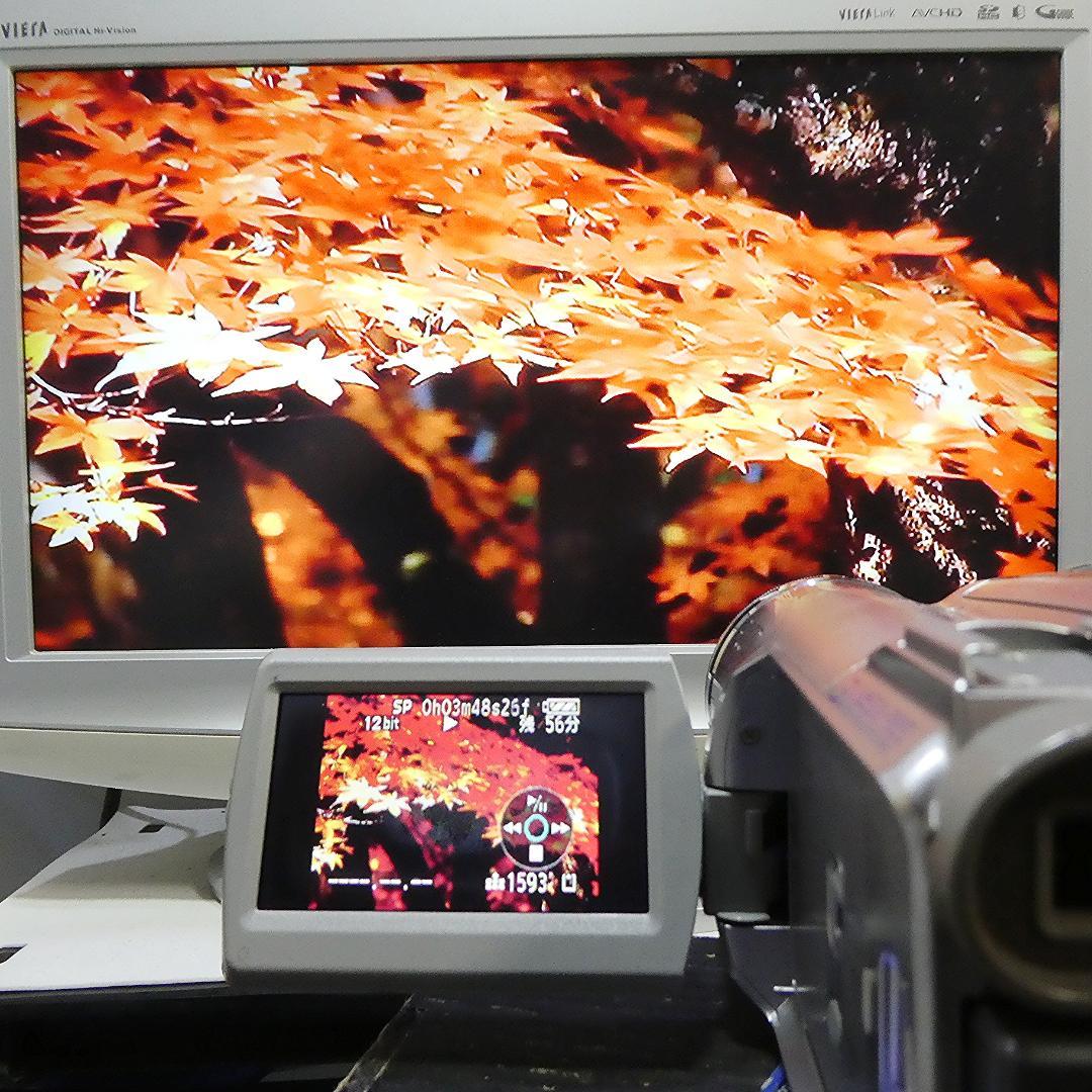 動作良好 パナソニックNV-GS300 MiniDVビデオ　デジタルダビングに