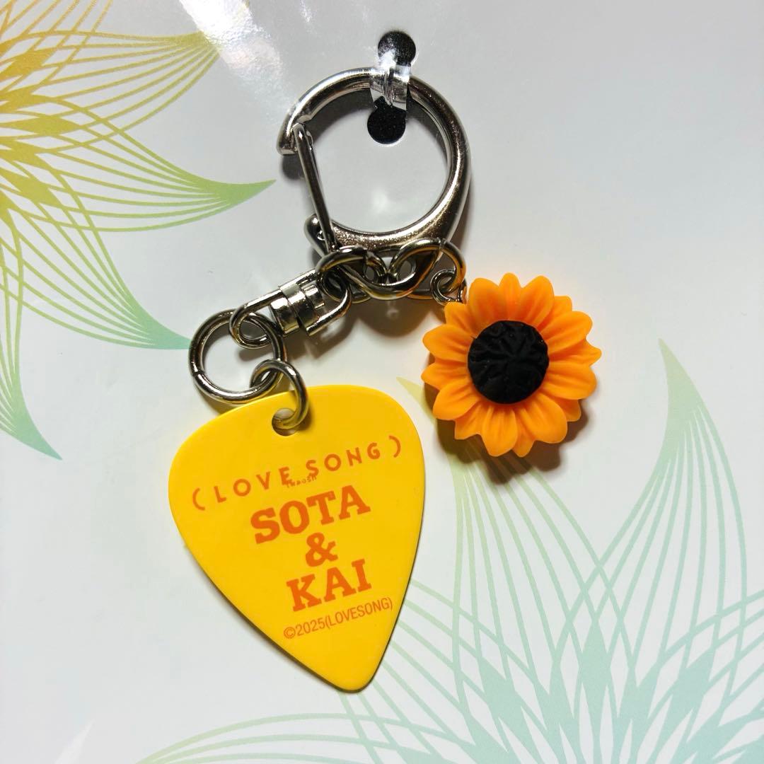 映画 『LOVE SONG』 劇場限定公式グッズ ピックキーホルダー 向井康二