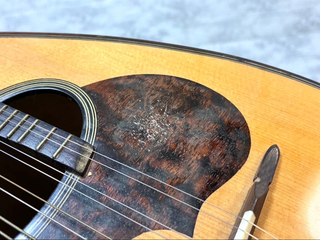 【動作確認済】SUZUKI マンドリン M-30 エントリークラス